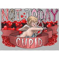 Valentine's Day-QRJ  591